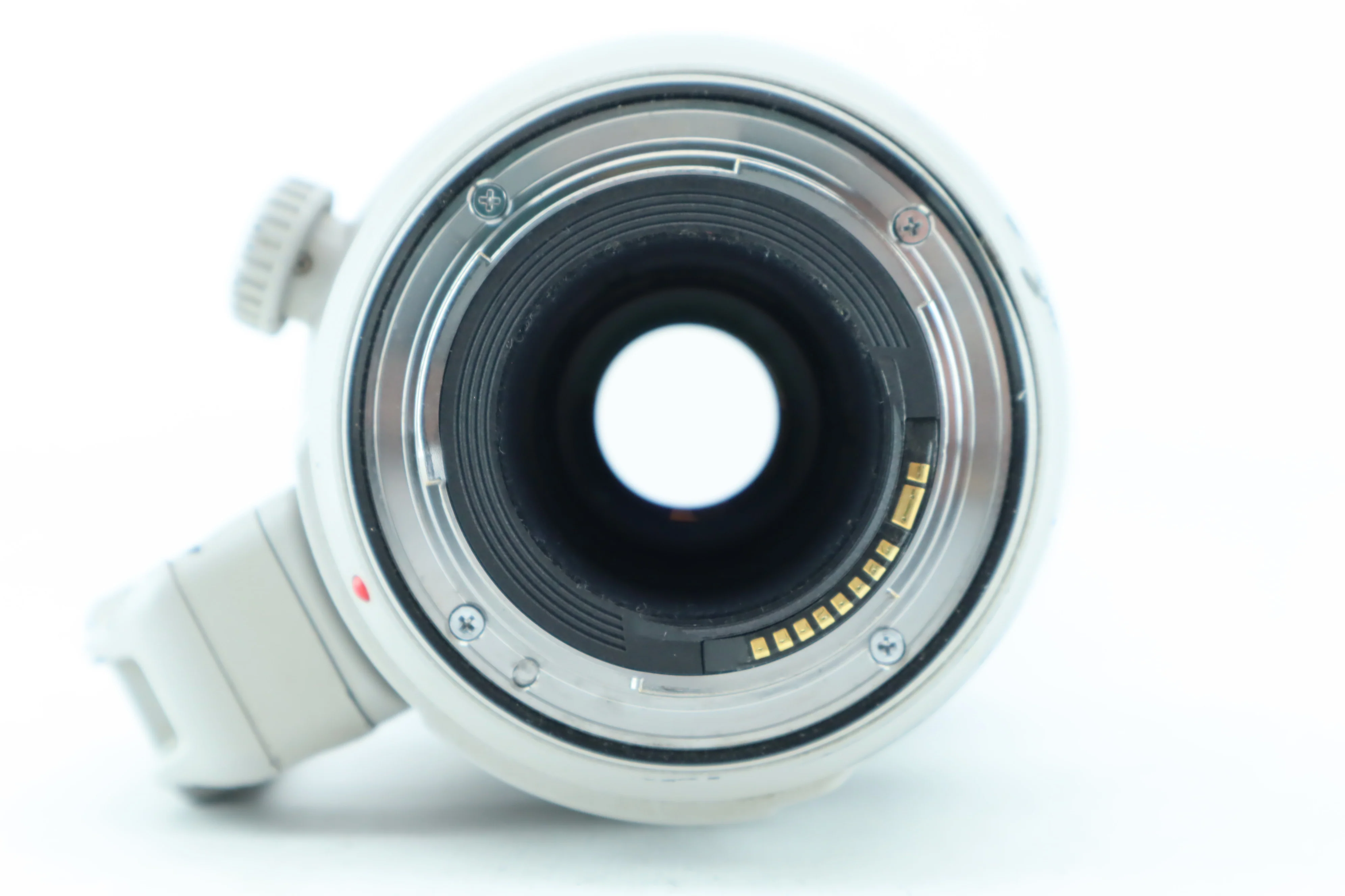 Canon EF 100-400mm 4,5-5,6 L IS II USM - Image 5
