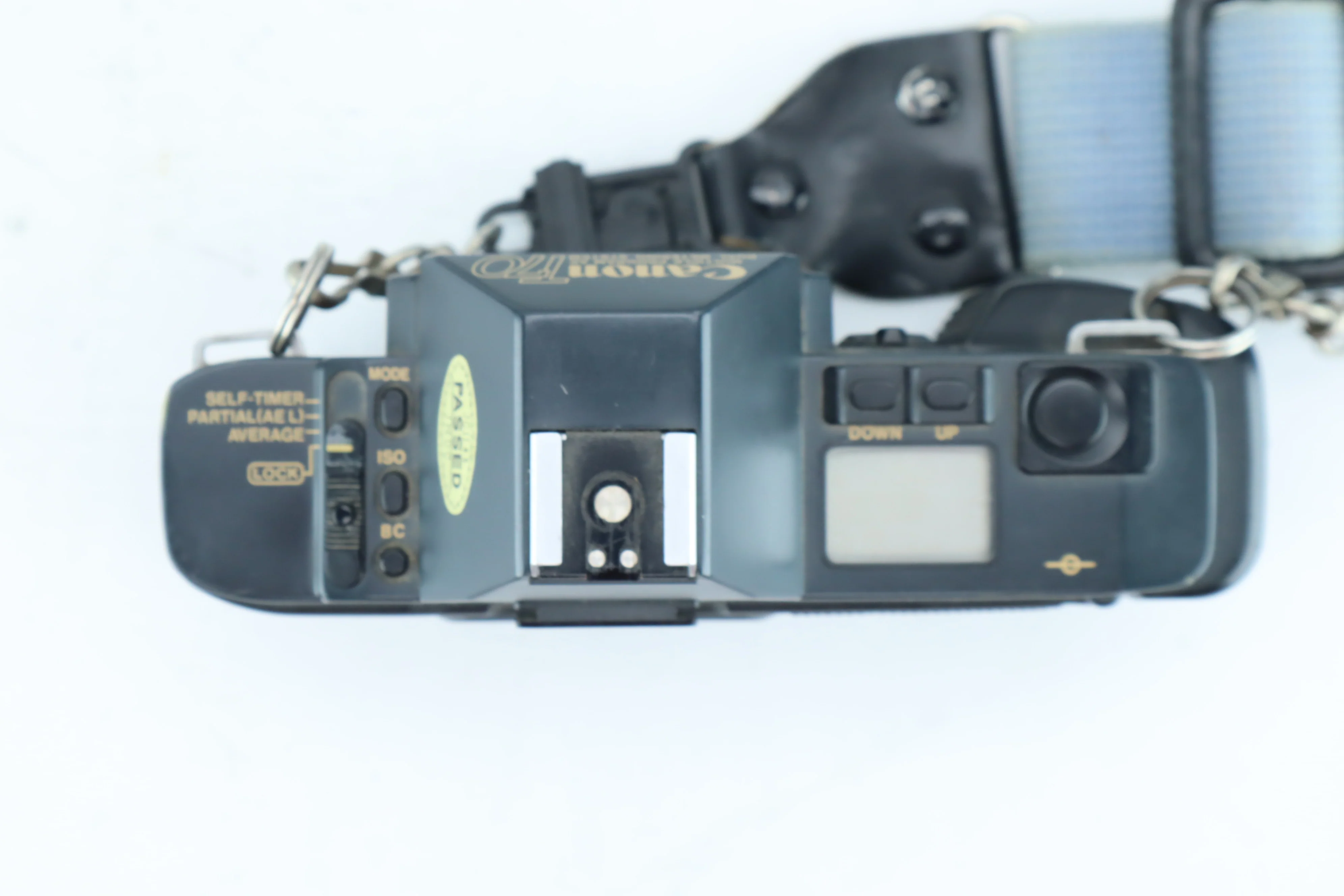 Canon FD 300mm f/5.6 - Image 4