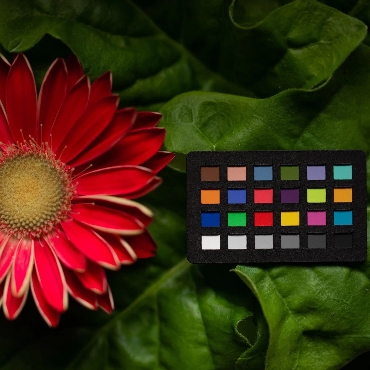 Calibrite ColorChecker Classic Nano - Image 4