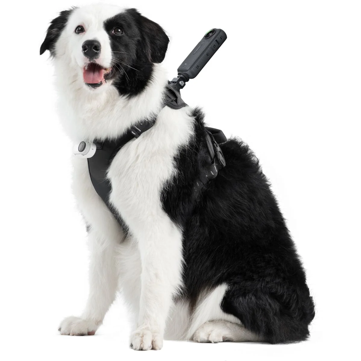 Insta360 Pet Harness Mount Size L - Image 4