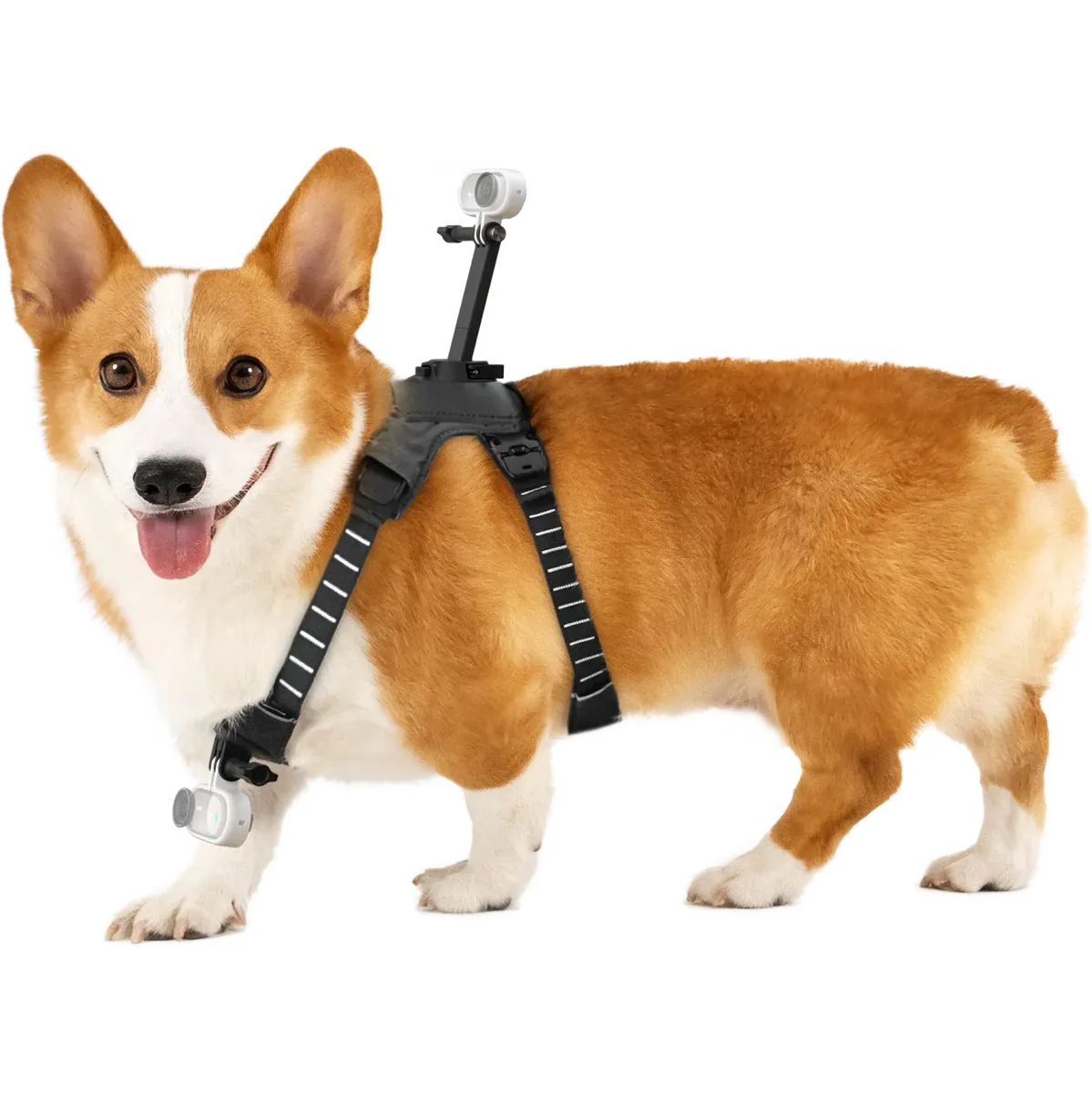 Insta360 Pet Harness Mount Size M - Image 4