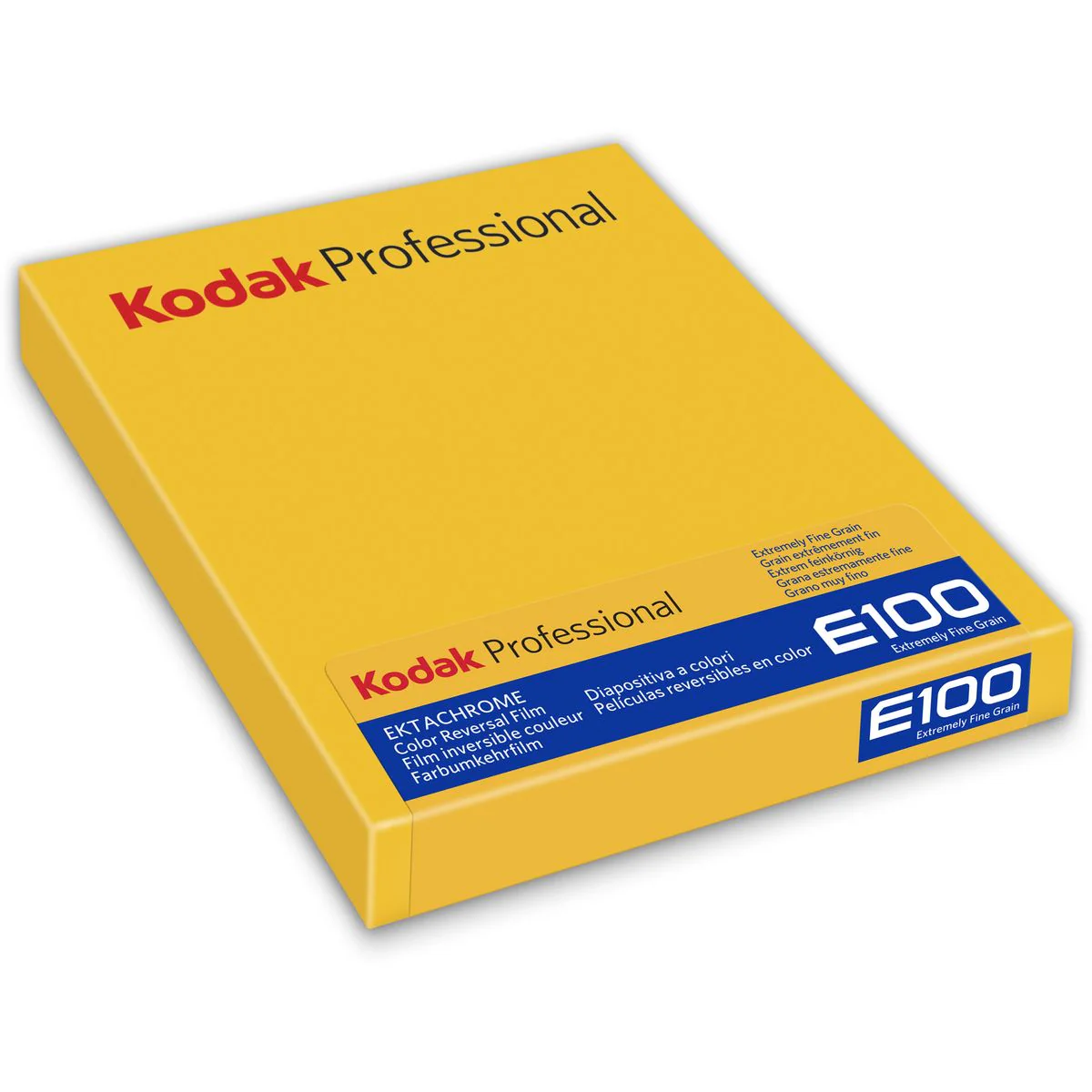 Kodak Ektachrome E100 4x5 10SH