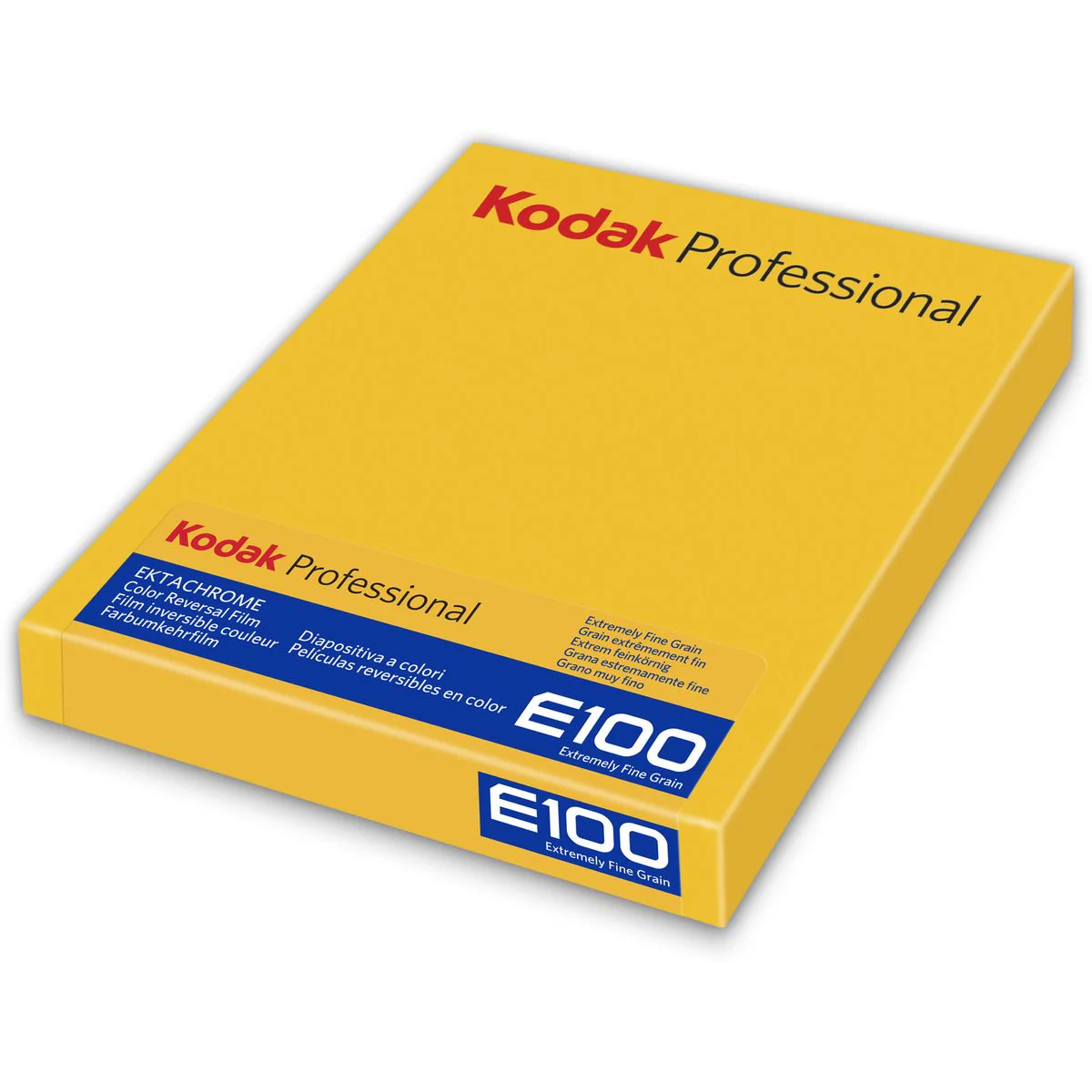 Kodak Ektachrome E100 4x5 10SH - Image 2
