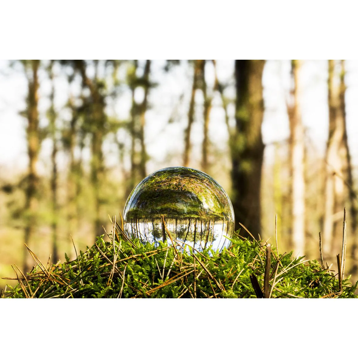 Caruba Lensball 100mm - Image 5