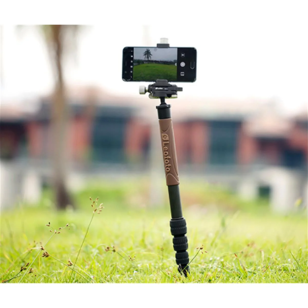 Leofoto Monopod/Extension Pole GO-125 - Image 2