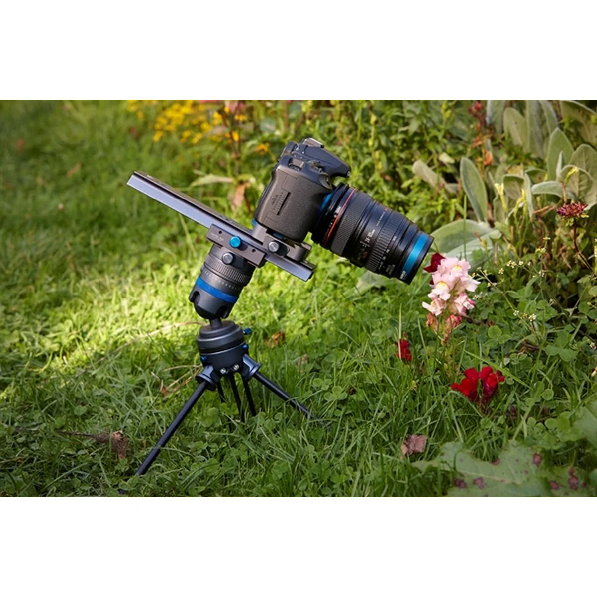 Novoflex Tripod TRIOC2840 - Image 3