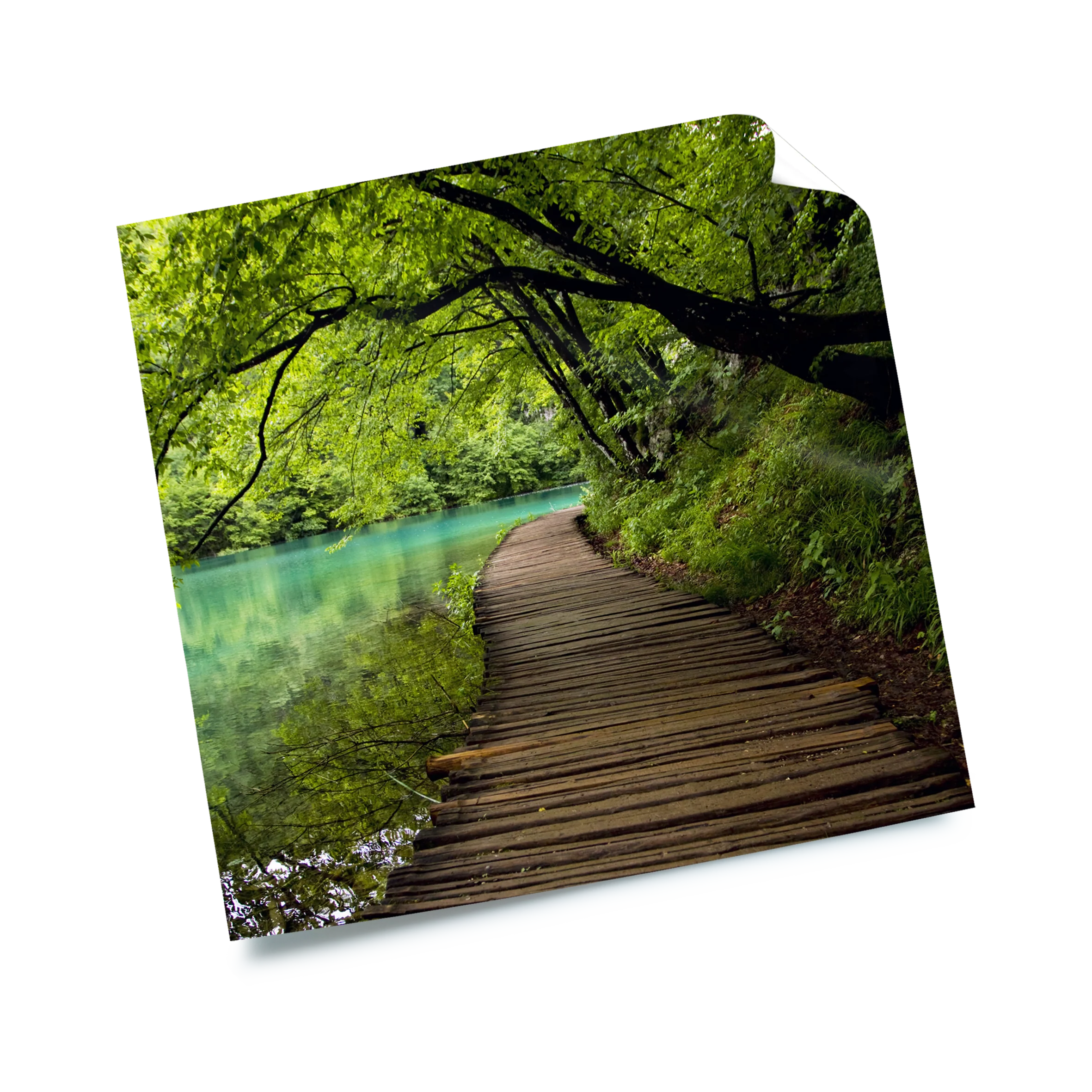 Posters matte - Image 10