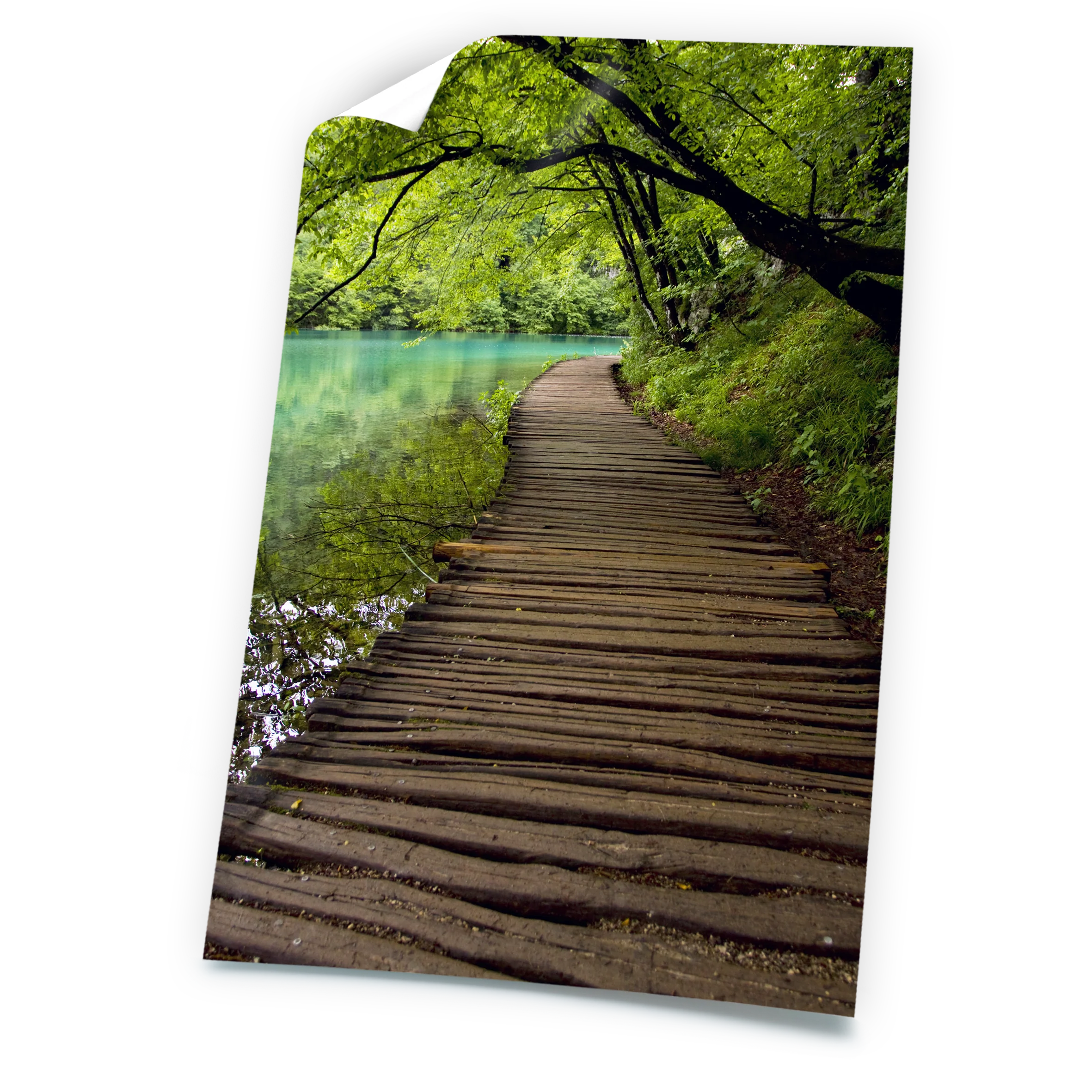 Posters matte - Image 9