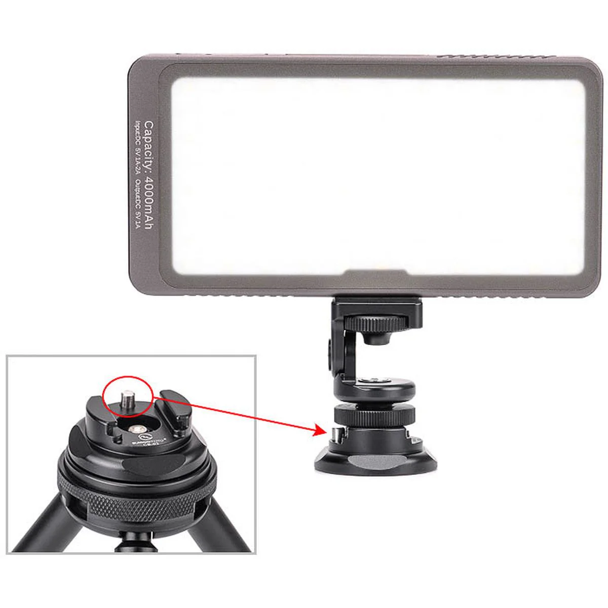 Sunwayfoto Quick Release Plate - Cold Shoe - CB-02 - Image 4