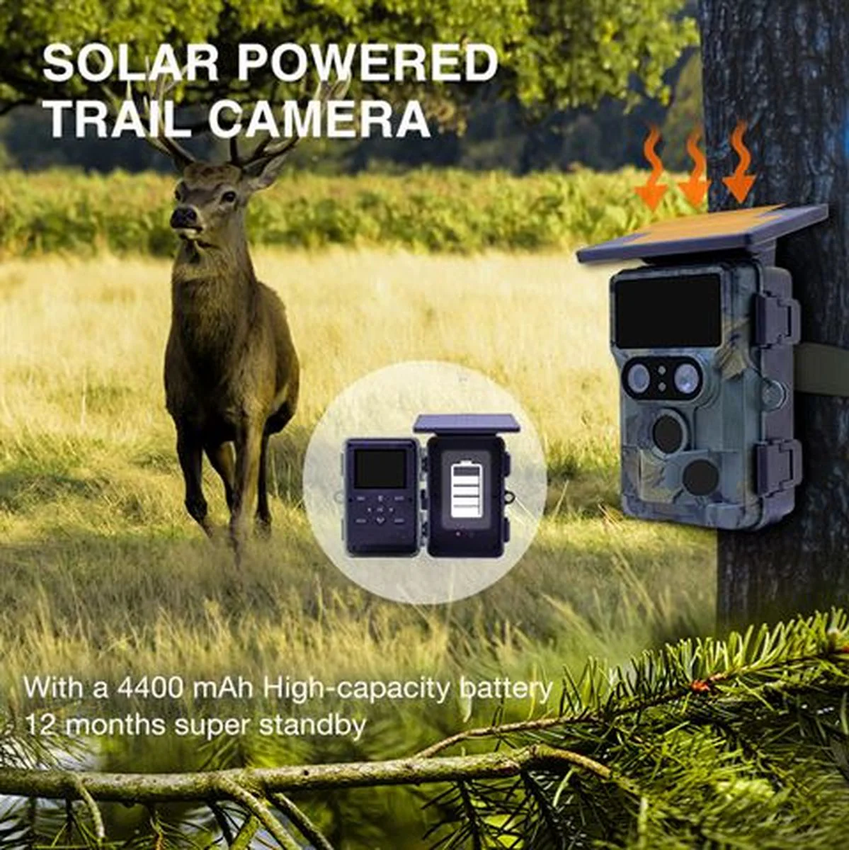 Stealth Gear Nightjar Dual-Cam Solar 4K WiFi Wildcamera - Image 4