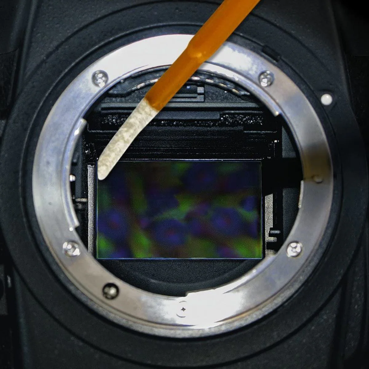 VisibleDust Ultra Dhap-Vswab 1.0X - Image 4