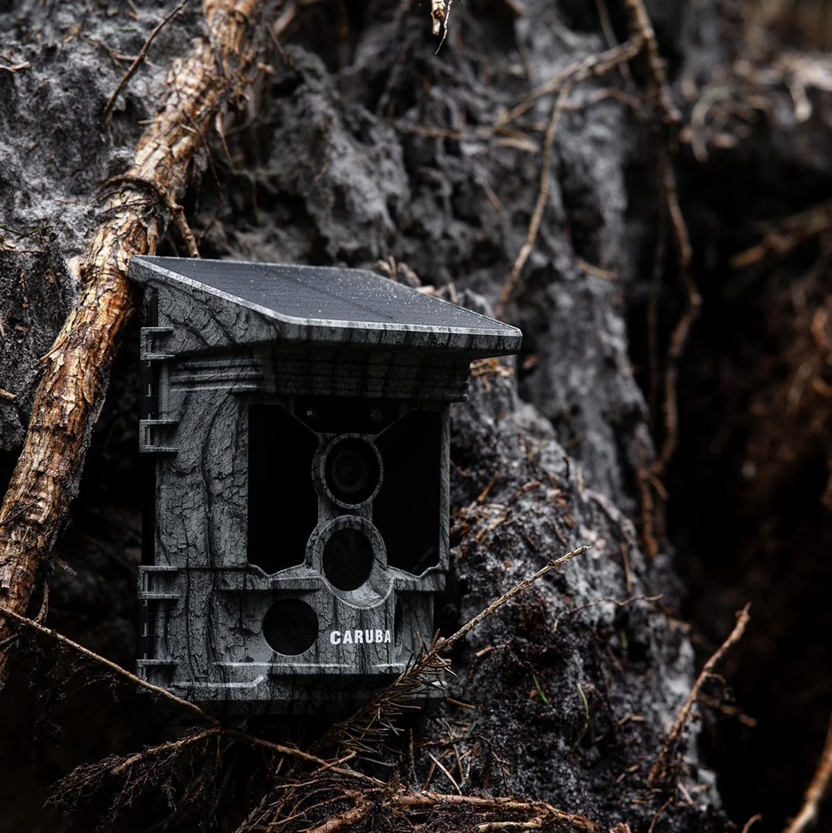 Caruba Wildcamera Raccoon Solar 4K - Image 4